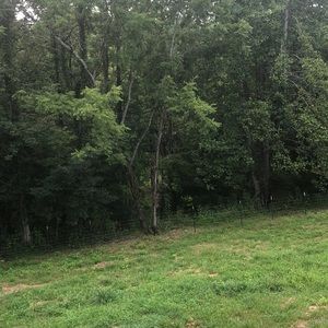 Meet your Posher, Shawn